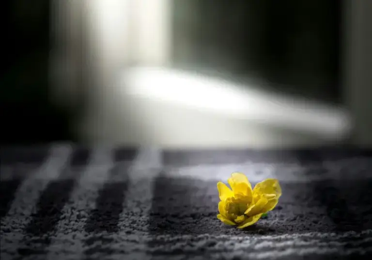 img-67d2515592d32c305f293a72