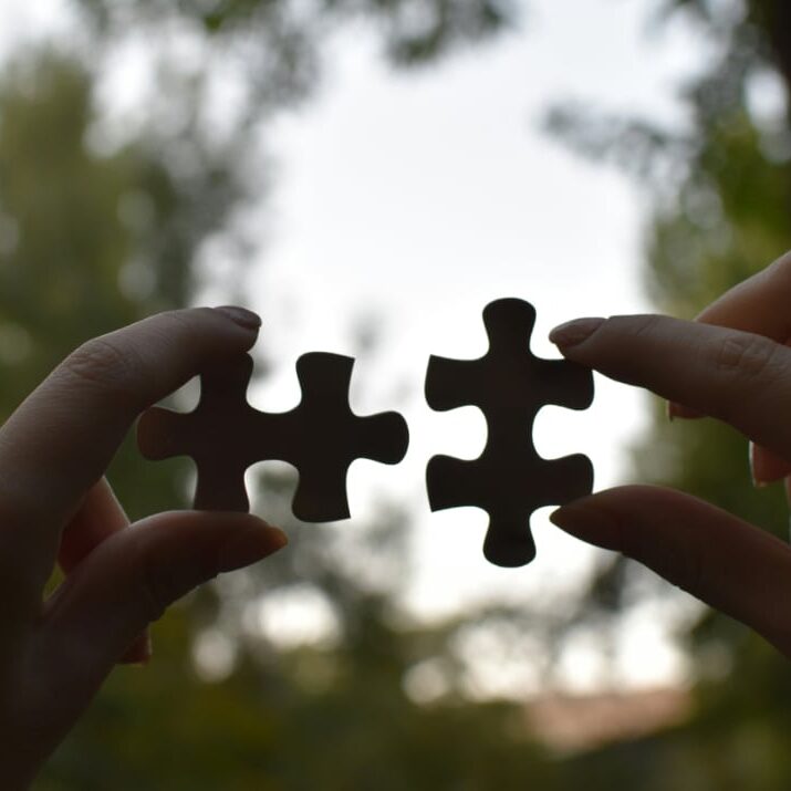 puzzle-pieces